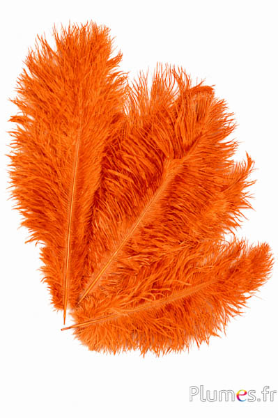 Struzzo - 30-40 cm - caramello